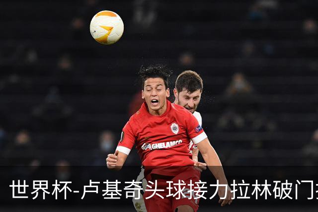 世界杯-卢基奇头球接力拉林破门扳平 加拿大1-1波黑